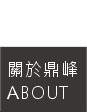 關於鼎峰